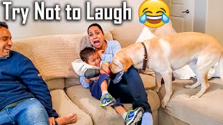 My Friends Who are Scared of a Dog Meets Buddy for the First Time | Too Funny