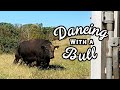 Slow Dancing With a Bull