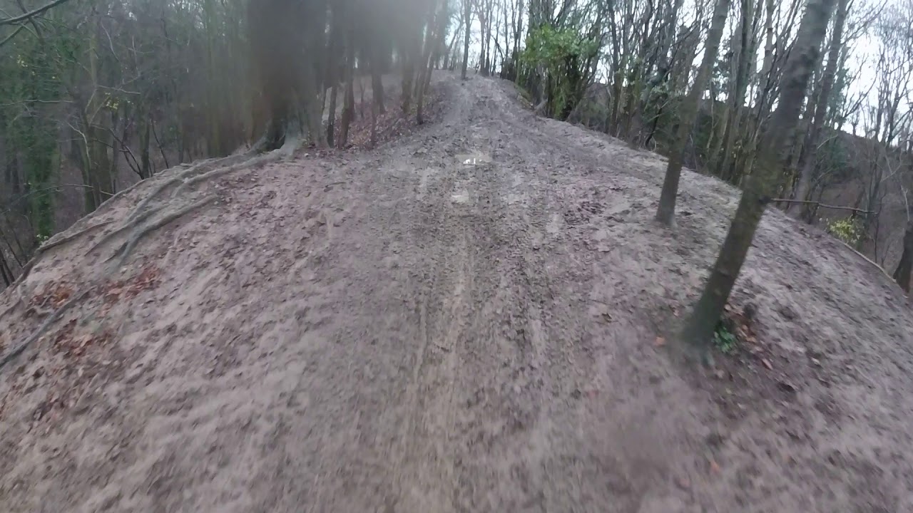 Limekiln woods Dec 2020