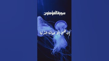 سورة المؤمنون 🌿🤍 #الجزائر #المغرب #راحة_نفسية #القرآن_الكريم #الشيخ_ياسر_الدوسري #اكسبلور #السعودية