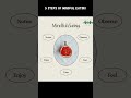 Mindful Eating #health #wellbeingnutrition #healthydiet #wellnessfusion #nutrition #mindfuleating