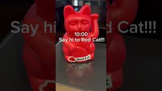 DITL Red Hat High School Intern!