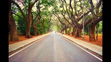 FRIENDS | IISc Bangalore | College Days | Joel Adams | Please Don