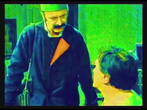 Bellboy - Zelenilo soje