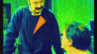 Bellboy - Zelenilo Soje