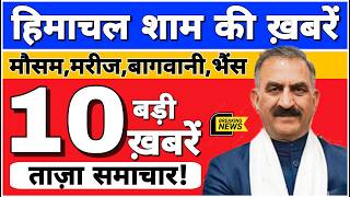 🛑📶🕔 Today Himachal | HP News #Himachal | हिमाचल शाम की बड़ी खबरें | Breaking News | @himachalnews