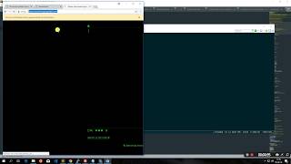 Capturing data with nodejs, headless chrome and puppeteer Profile