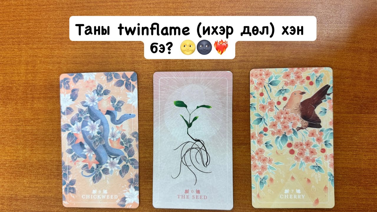 Таны twinflame (ихэр дөл) хэн бэ? 🌝🌚❤️‍🔥 | Хайр дурлалын мэргэ 🔮