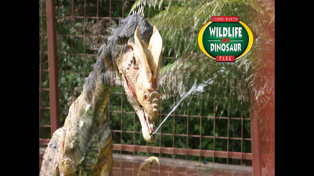 Combe Martin Wildlife and Dinosaur Park Tour YouTube