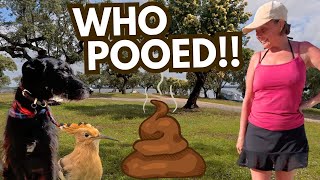 OWN UP! WHO POOED IN PORTUGAL!!!