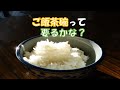 ＃381「ご飯茶碗って要るかな？」【ミニマリスト・ミニマリズム】