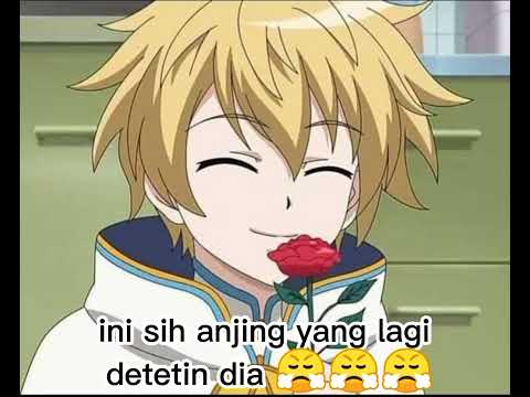 parodi Shinbihouse maaf ya jarang up video parodi Shinbihouse