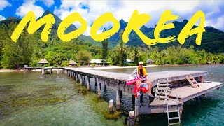 #Moorea French #Polynesia Travel Vlog #Tahiti Ferry Linareva Beach Resort DJI Aerials Magic Mountain