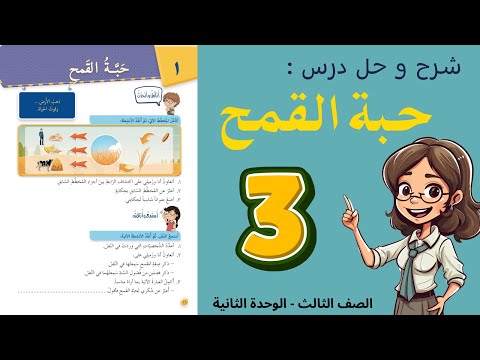 شرح و حل درس حبة القمح الصف الثالث 3 أستاذة روضة