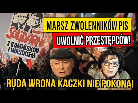 Marsz zwolenników PiS - CO TAM SIĘ ODPIER....?