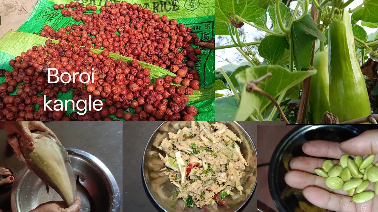 Kumsigi Boroi cdi loiba naidre 🍒|| Nga semle new style da ||