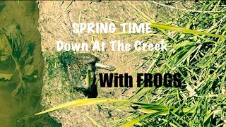 Hanging Out With Frogs 🐸 At The Creek