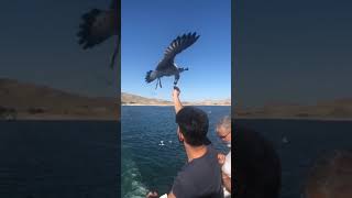 Öyle Bir Anda Gelki Bana Şarkısı Hiraizerdüş Resimi