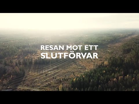 Video: Havsbotten: lättnad och invånare