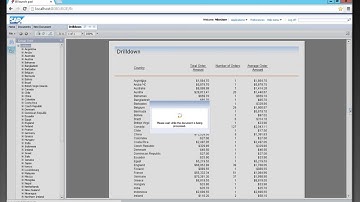 SAP BusinessObjects Crystal Reports Drill Down