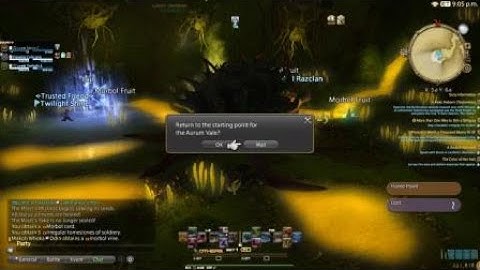 FFXIV Aurum Vale 5:36 Speedrun