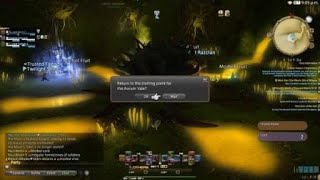 FFXIV Aurum Vale 5:36 Speedrun