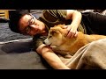 嬉しい‼️楽しい‼️でも疲れちゃった我家の柴犬と相棒の赤ちゃん