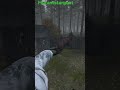 DayZ 1.20 How to catch a Bear.