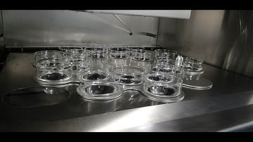 ZF1800 Full-automatic Total Migration