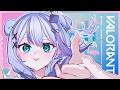 【VALORANT】配信だと1年ぶりらしい...┊︎#音ノ乃のの #ののん家