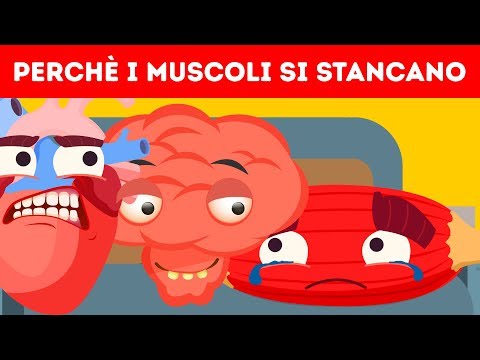 Video: Perché I Crauti Sono Utili Per Il Corpo Umano