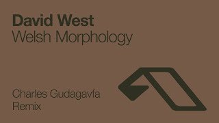 David West - Welsh Morphology (Charles Gudagavfa Remix) [2008