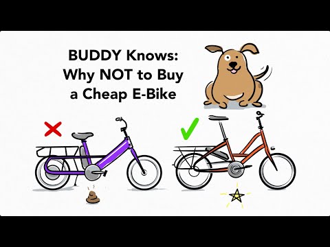 Why NOT to Buy a Cheap Electric Bike Online