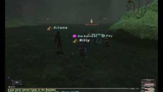Old School FFXI Manaburn Party