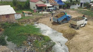 New project!! Dozer MITSUBISHI And 5T Truck Unloading working​Soil ​Pouring Soil Into Flooded Pond​​