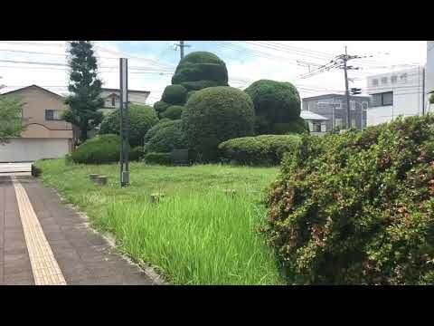 パブリネット 大木町役場