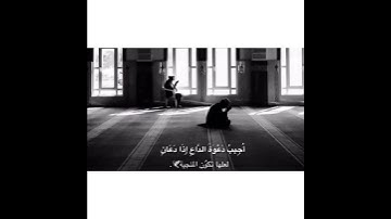 حاله واتس اب سورة البقرة/الشيخ ماهر المعيقلي
