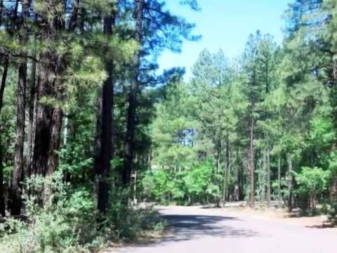 3376 Red Robin Rd., Pinetop, AZ home video tour