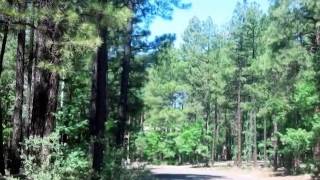 3376 Red Robin Rd. video tour