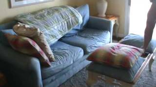 Famous The inside of the Dewey Condo Net Worth