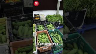 【一个月帮你省下一半的电费⁉️】|槟城好料