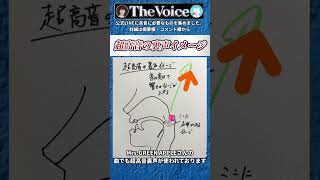 【毎日練習用】超高音裏声スーパーヘッドボイスA5まで共鳴ポイントや息の使い方を確認ください#アンザッツ #高い声