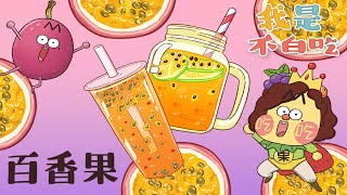 【我是不白吃】64 写好简历有多重要？跟百香果学习自我包装