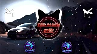 Take Me Hand - XTIAN (电音版) (DJ抖音版2025) 