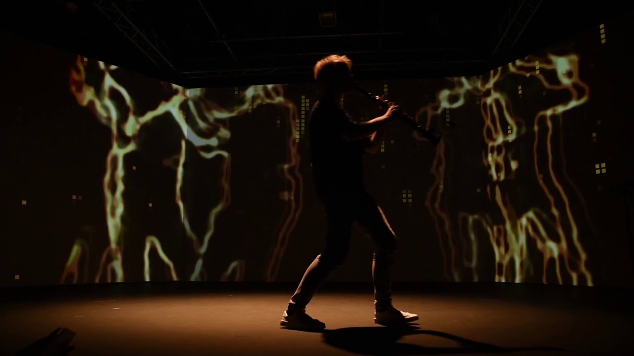 Steve Reich : "New York Counterpoint" from SOLITUDE – Lauri Sallinen, clarinet