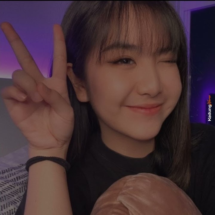 Story wa || dj sayang via vallen