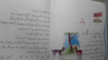 class 6 chapter 31 jaan pehchan with answer urdu ncert
