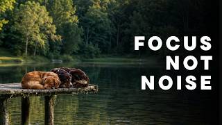Steady Stream Sounds for Deep Work | Quiet Company, No Distractions