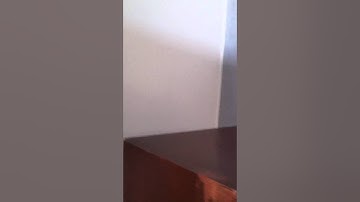 Gradiente Model 126 & master 67