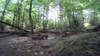 FPV QAV250 crash in water - immersion view